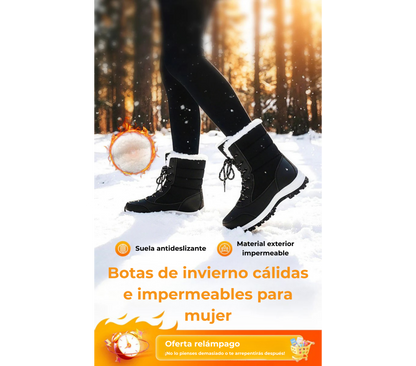 Elaris | Invierno Impecable