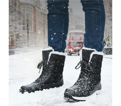 Elaris | Invierno Impecable